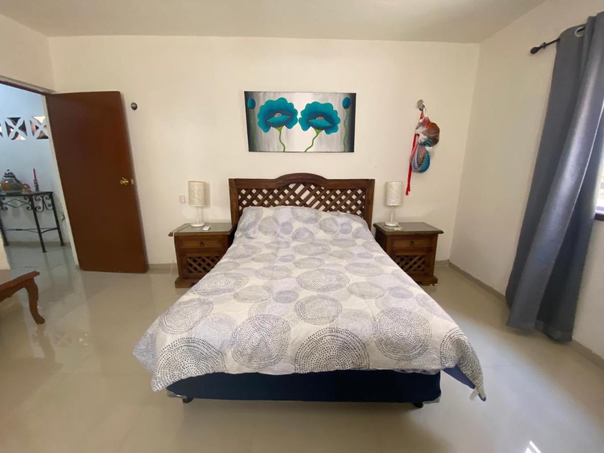 메리다 Casa Del Artista 빌라 외부 사진